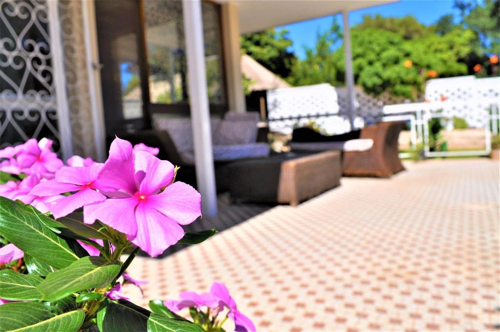 Natwange Backpackers - Terrace