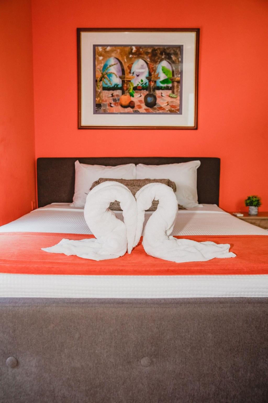 Conturce Hostel