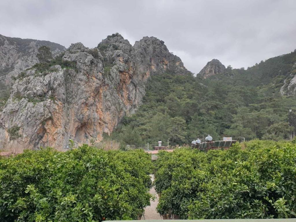 Olympos Tatilya Pansiyon
