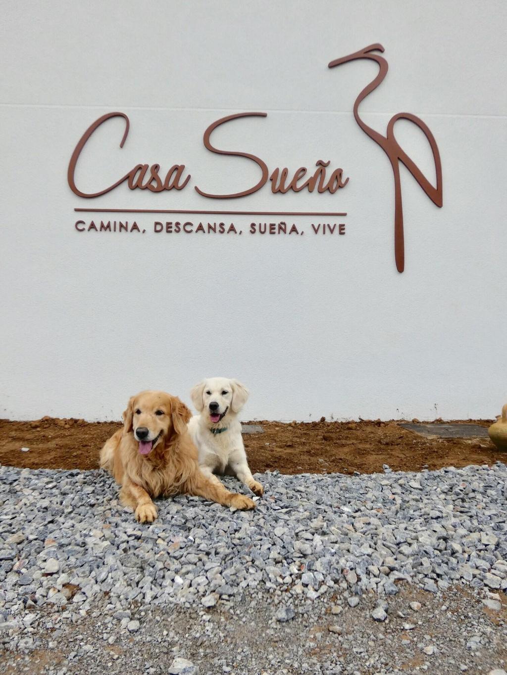 Casa Suea O
