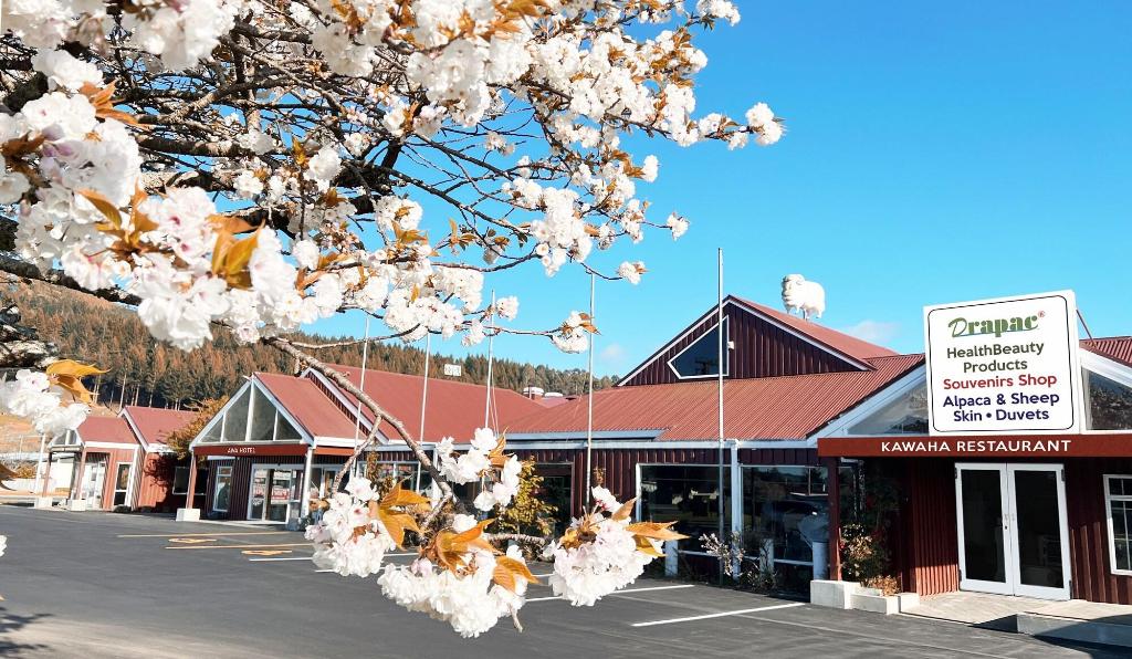 Awa Hotel