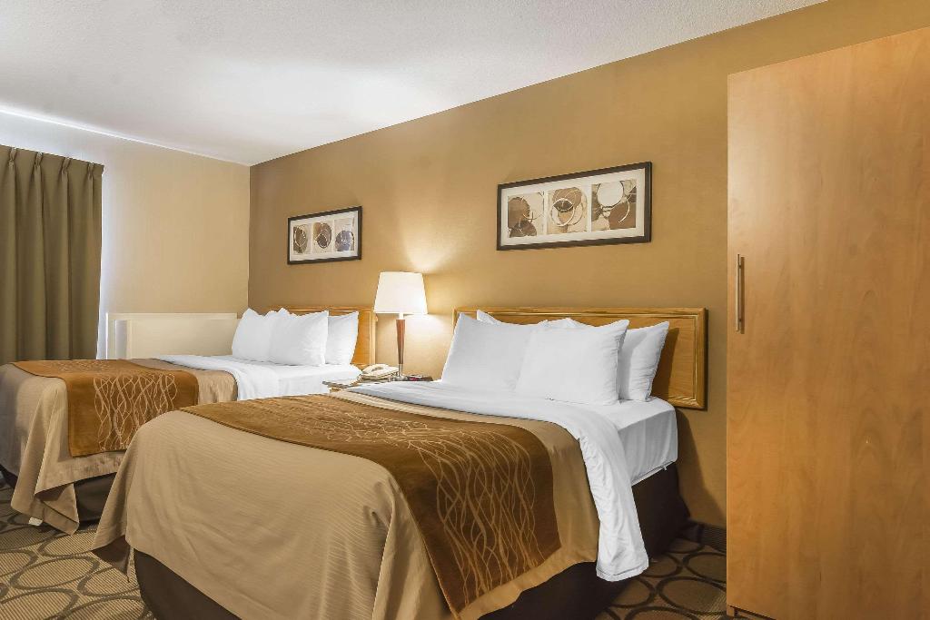 Comfort Inn Cobourg photo 45