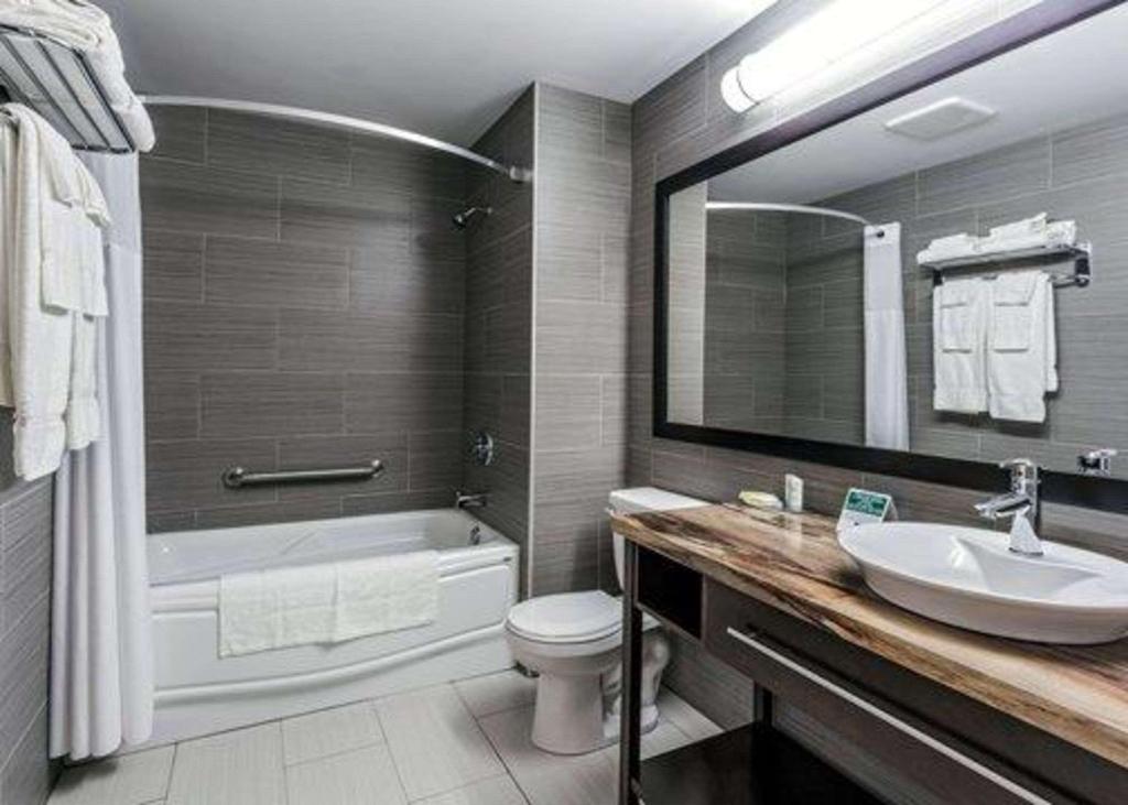 Quality Inn & Suites photo 13