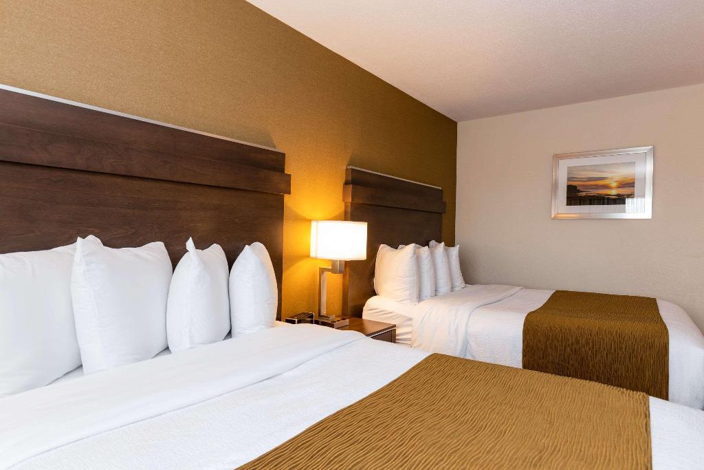 Quality Inn & Suites photo 102