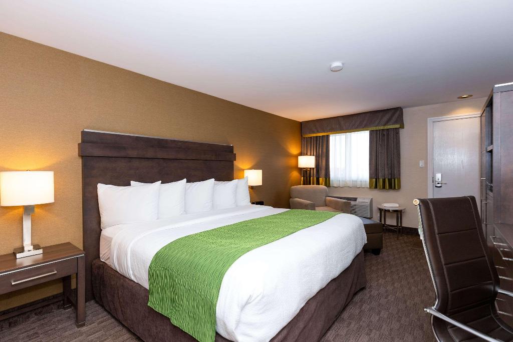 Quality Inn & Suites photo 101