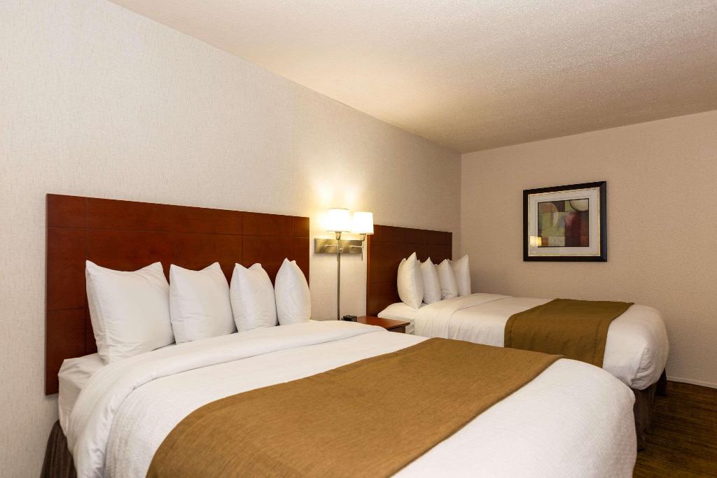 Quality Inn & Suites photo 69