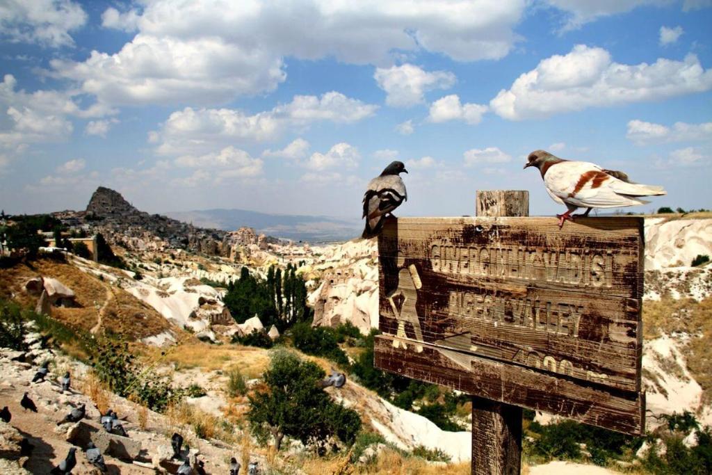 Cappadocia Divin House