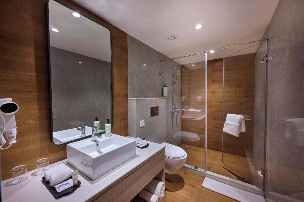 Delite Sarovar Portico Faridabad