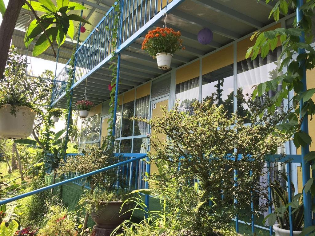Thu Huynh Homestay Hostel