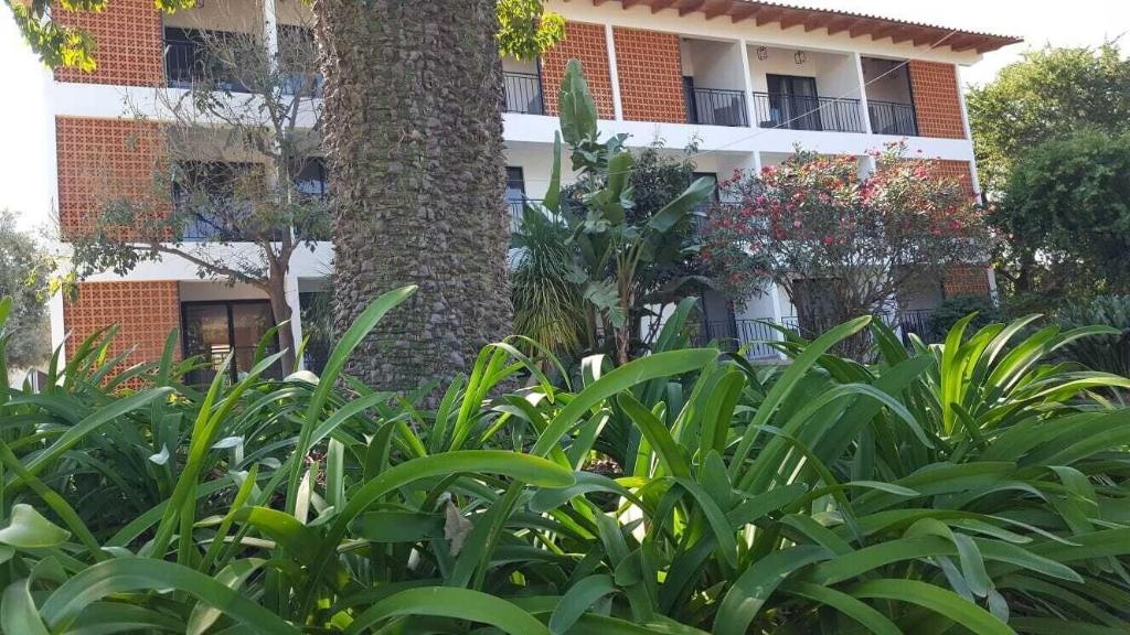 Casa Rivera De Moras