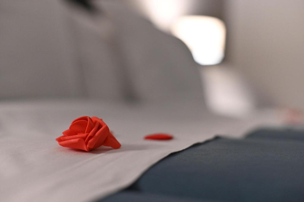 Bosca Suites