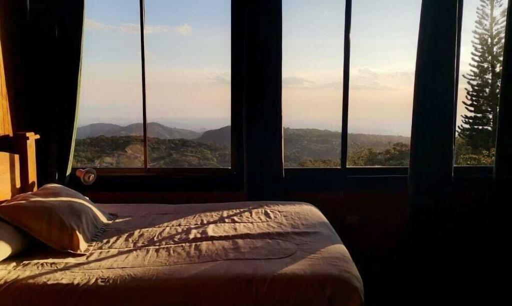 Hotel Flor De Bromelia