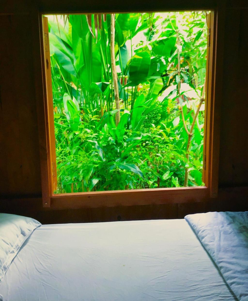 Ben Tre Farm Stay