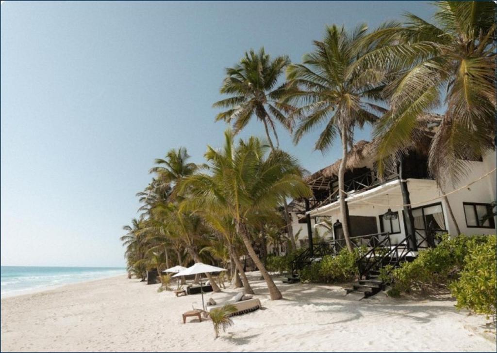 Hotel Casa Gitano, Mexiko, Tulum. Großes 4
