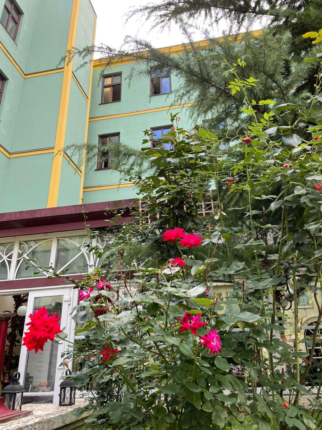 Hotel Hotel Viki, Österreich, Wien. Großes 12