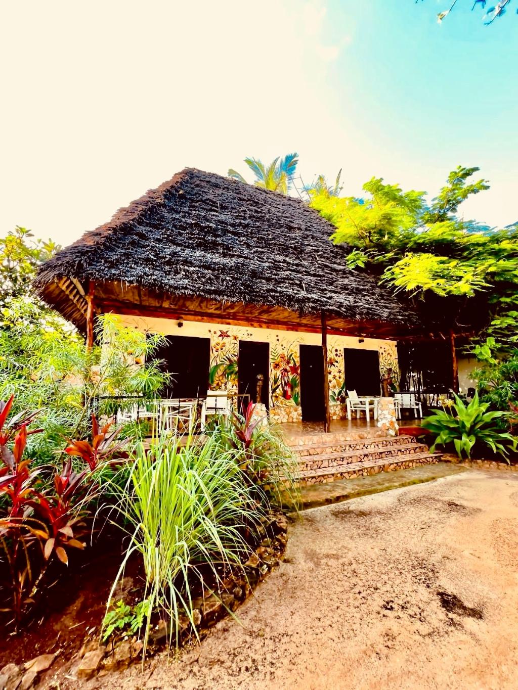 Mambo Ocean Resort