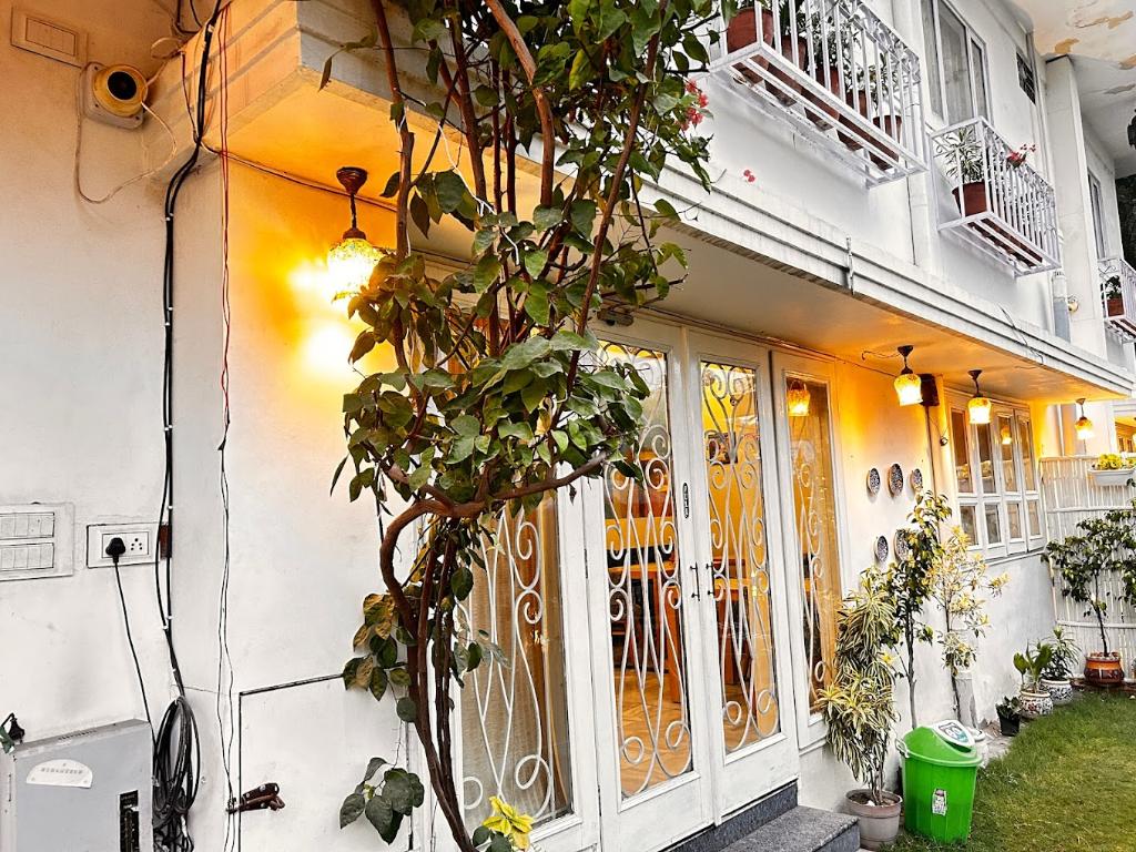 J Startup House, Jaipur
