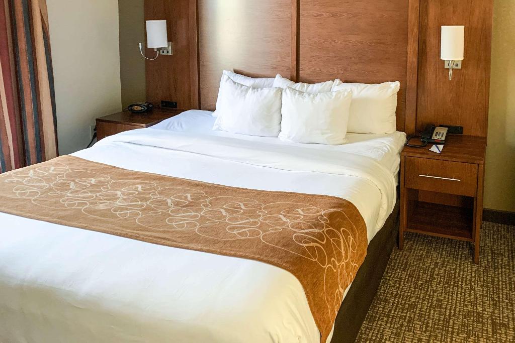 Comfort Suites Columbus State University Area