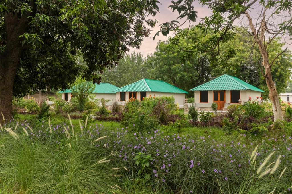 ZANA Forest Resort Ranthambore