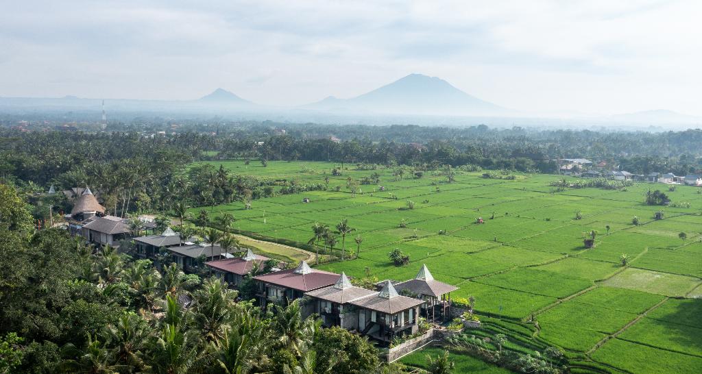 Gdas Bali Health And Wellness Resort