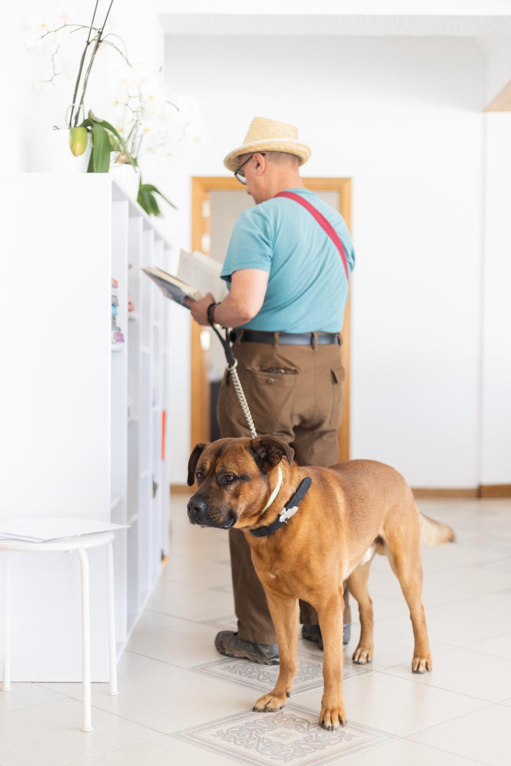 Hotel Dunas Do Alvor - Torralvor, Portugal, Alvor. Großes 2