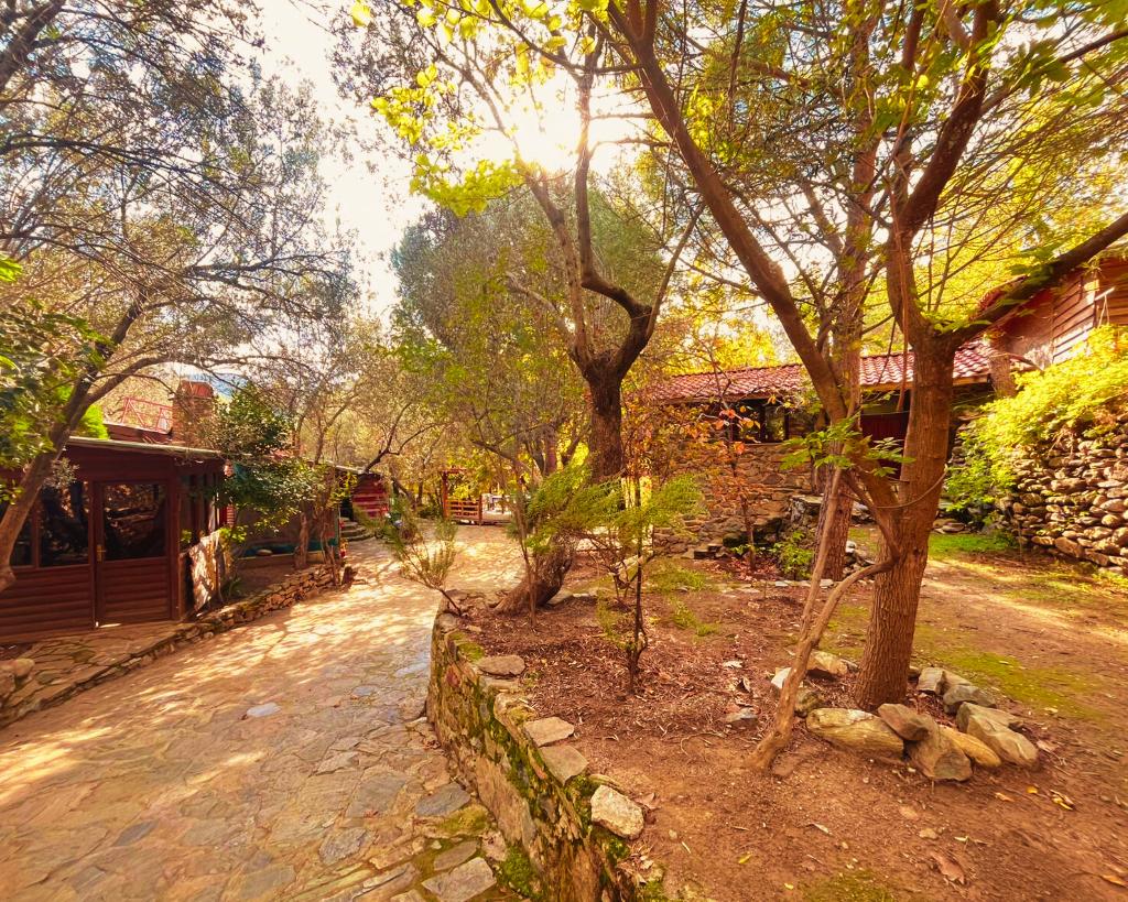 Kybele Nature Life