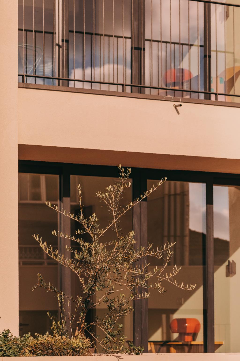 Galleria immagine di Lenscape – Coterie