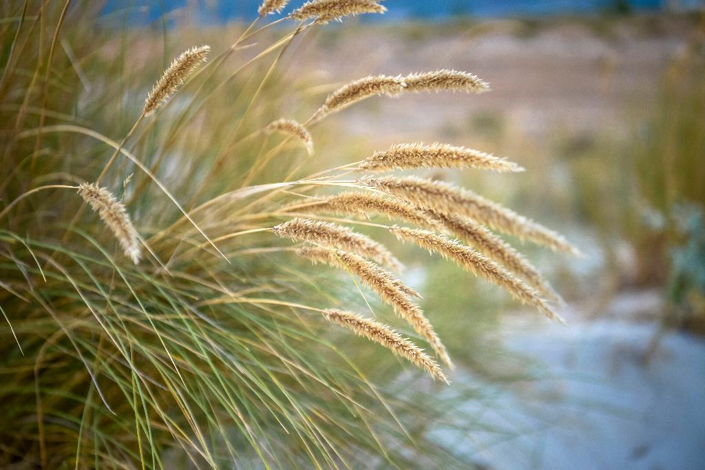The Editory By The Sea Troia Comporta Hotel