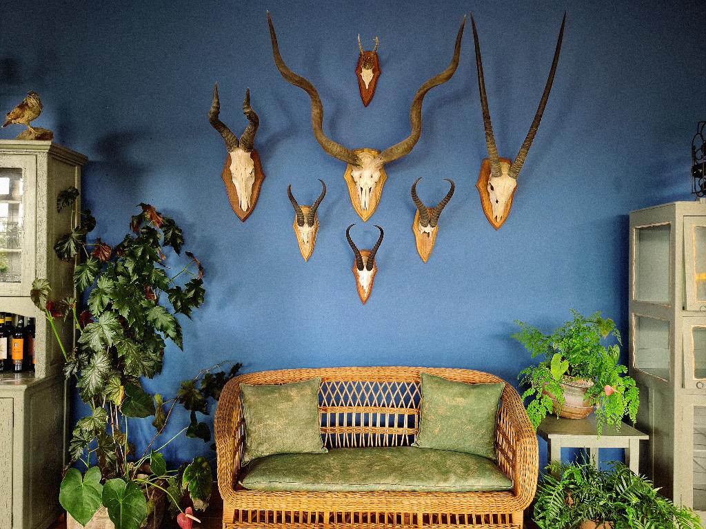 Hotel Villa Alto Boutique Hotel, Portugal, Ponta do Sol. Großes 2