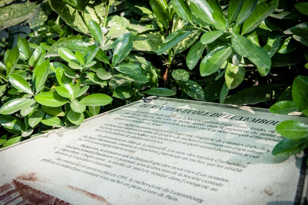 Hotel Jardin le Brea, Frankreich, Paris. Großes 1