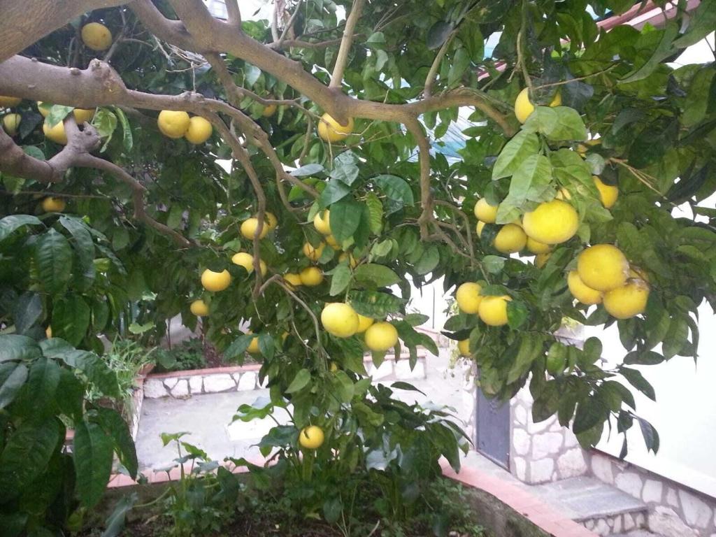 B&b Palazzo A Mare