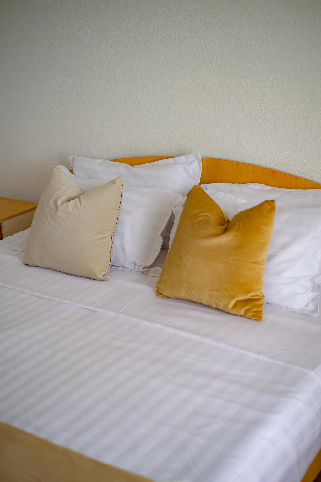 Hotel Cerna
