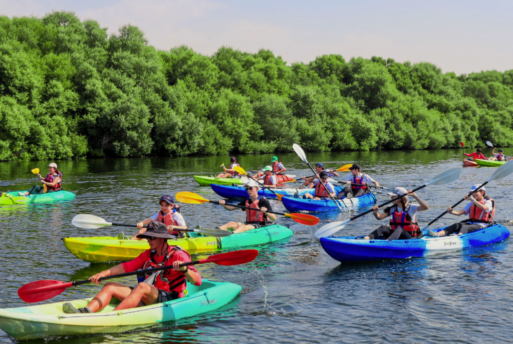 Rotana Ras Al Khaimah - The Mangroves - Sports and Entertainment