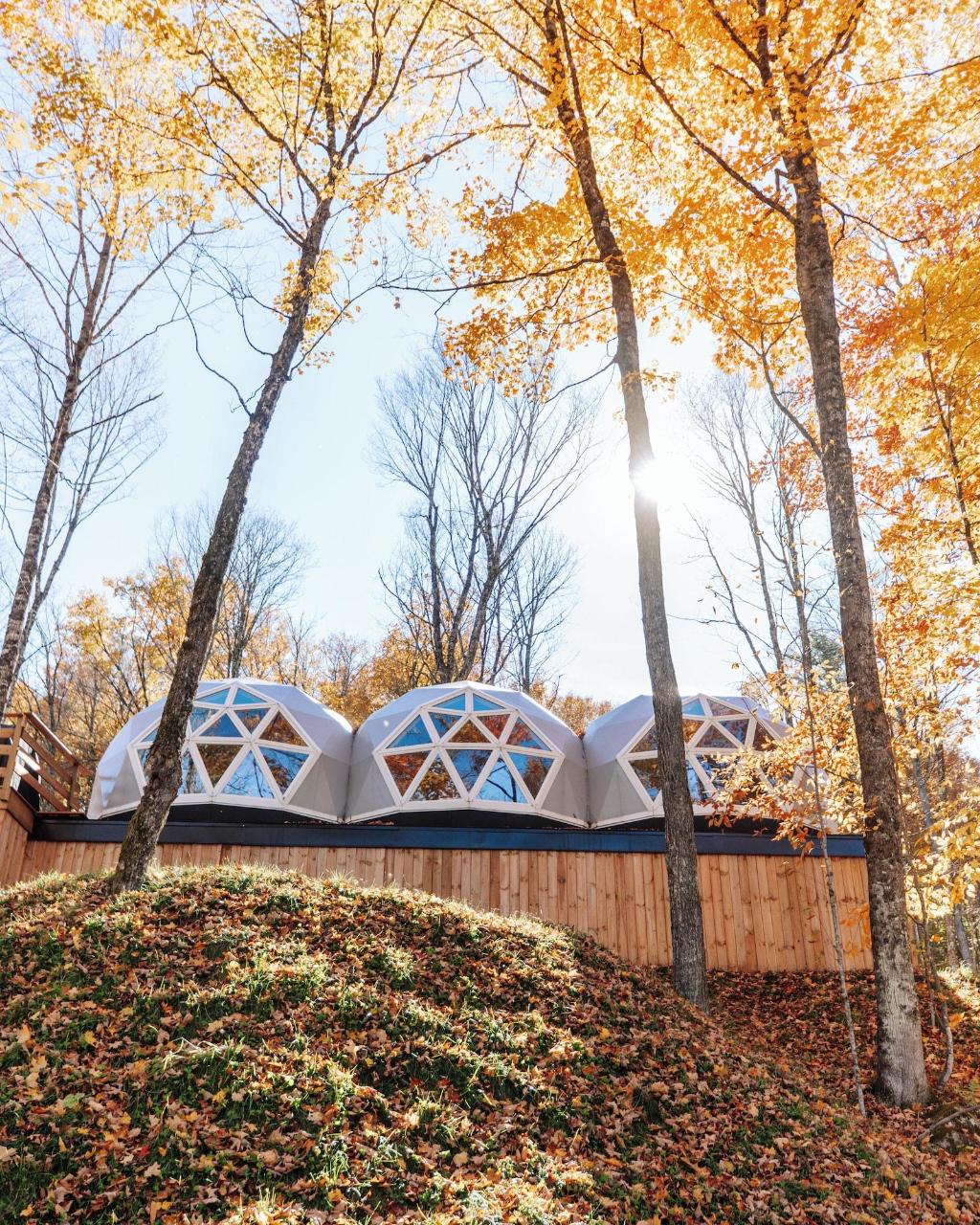 Bel Air Tremblant Resort