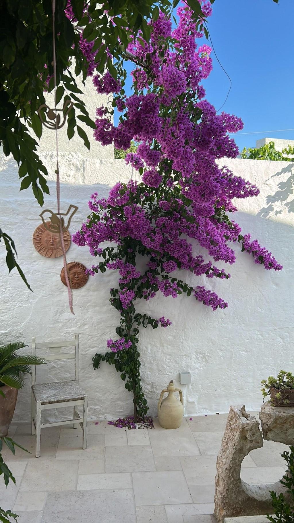 Montesanto 60 Suite & Relax Alberobello