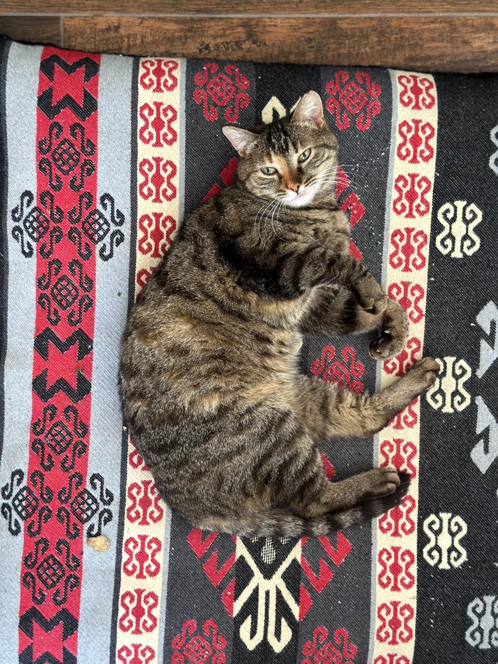Urla Taş Konak