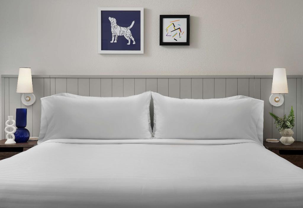 Sonesta Es Suites Chicago Dwntn Magnificent Mile