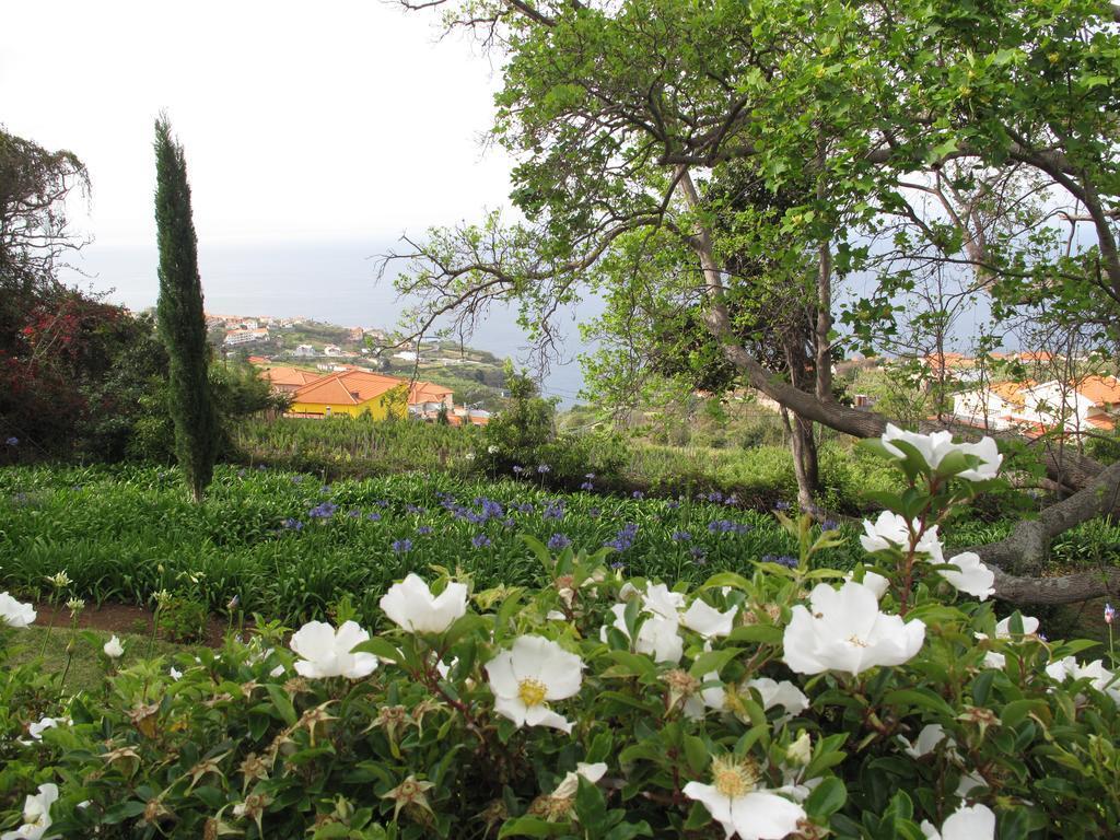 Hotel Quita Das Vinhas, Portugal, Estreito da Calheta. Großes 2