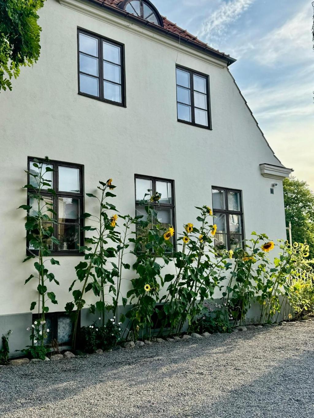 Stf Landskrona Hostel
