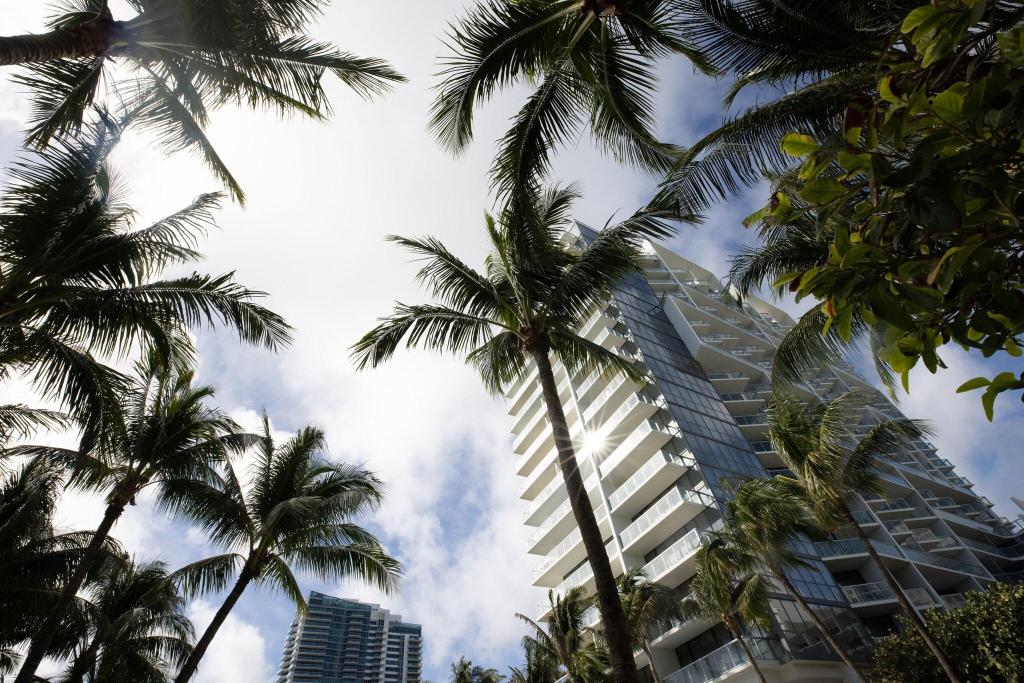 W South Beach photo 452