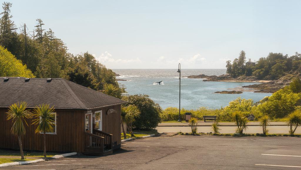 Little Beach Resort