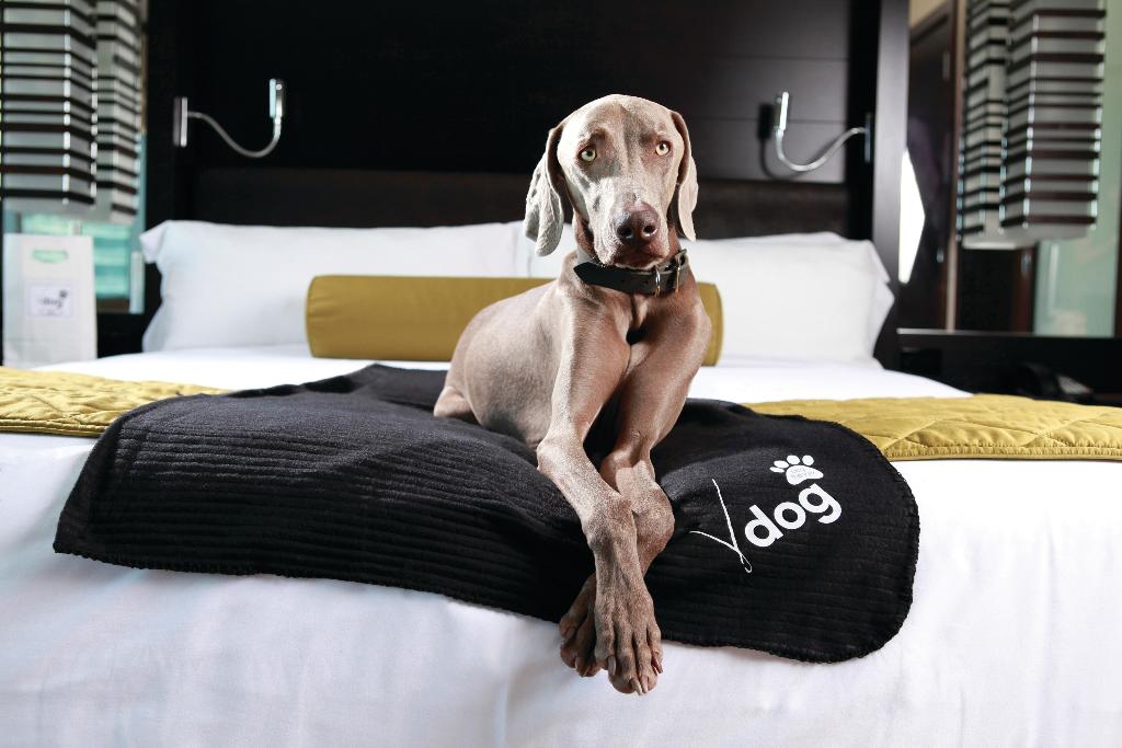 Vdara Hotel & Spa at ARIA Las Vegas photo 46
