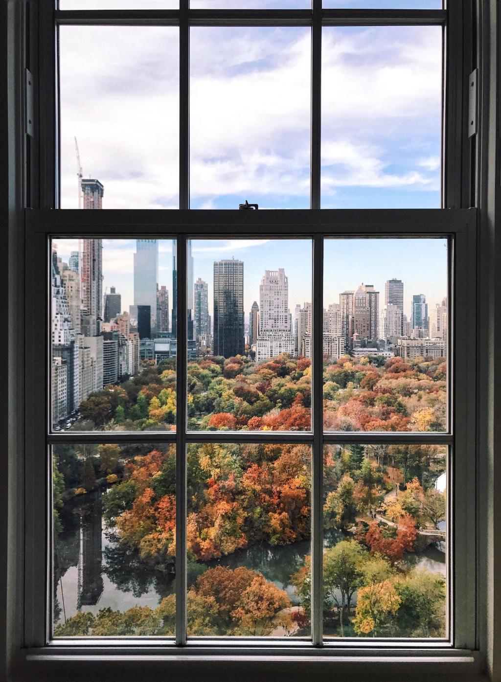 Imagen de la galería de The Pierre, A Taj Hotel