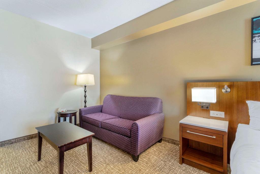 Comfort Suites Knoxville East