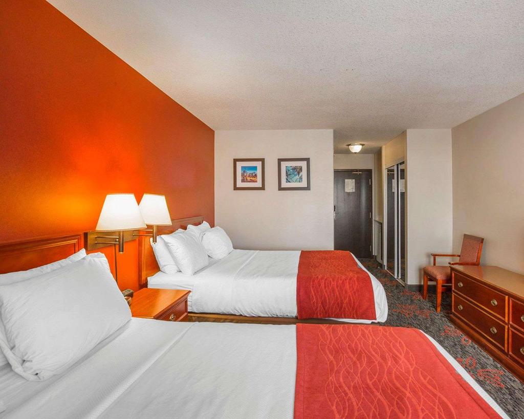 Comfort Inn & Suites University
