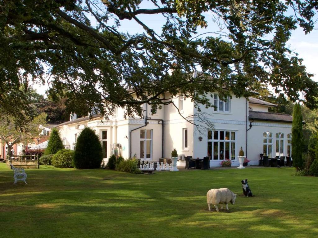 Wrexham Llyndir Hall Hotel, Bw Signature Collection photo 66