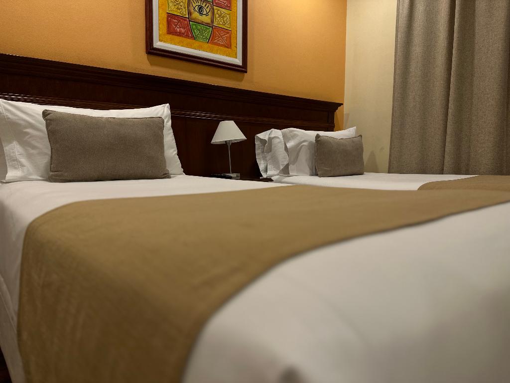 Ritz Hotel Mendoza