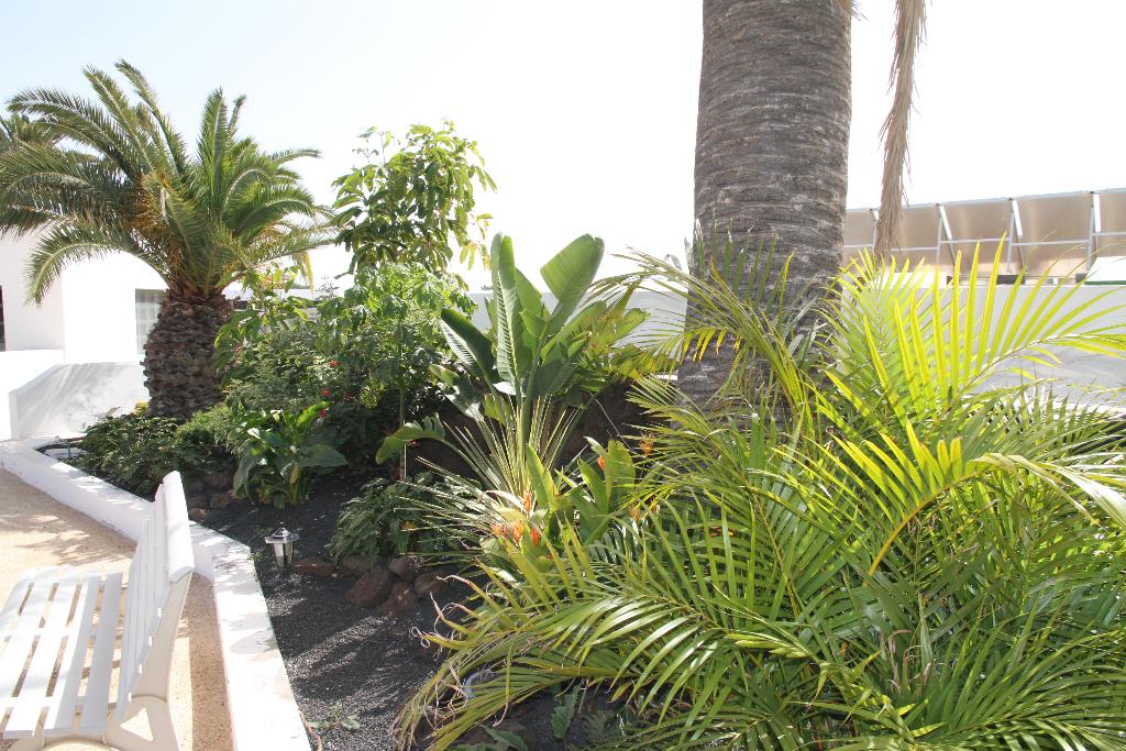 Hotel Casas Heddy, Spanien, Puerto del Carmen. Großes 38