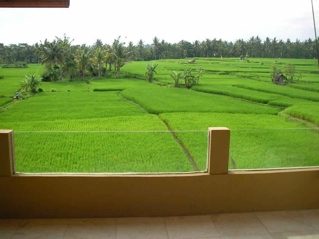 Green Field Hotel and Bungalow