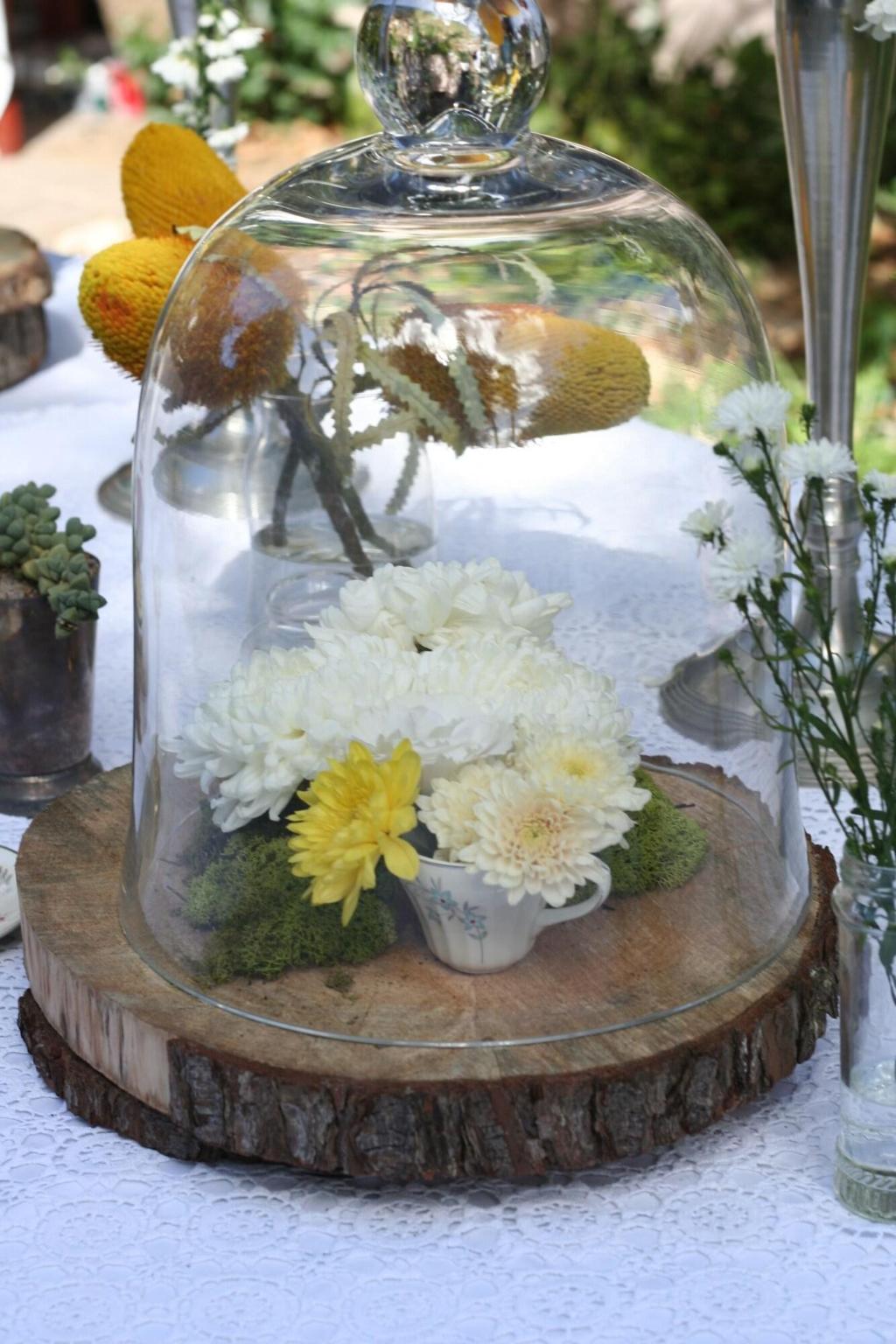 Hotel Mimosa Lodge, Südafrika, Montagu. Großes 46